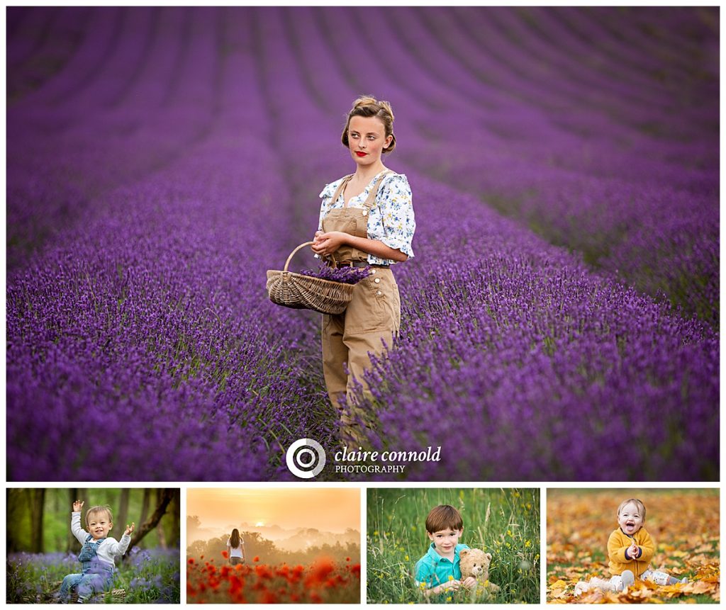 colourful photoshoots lavender poppies bluebells autumn leaves photo collage