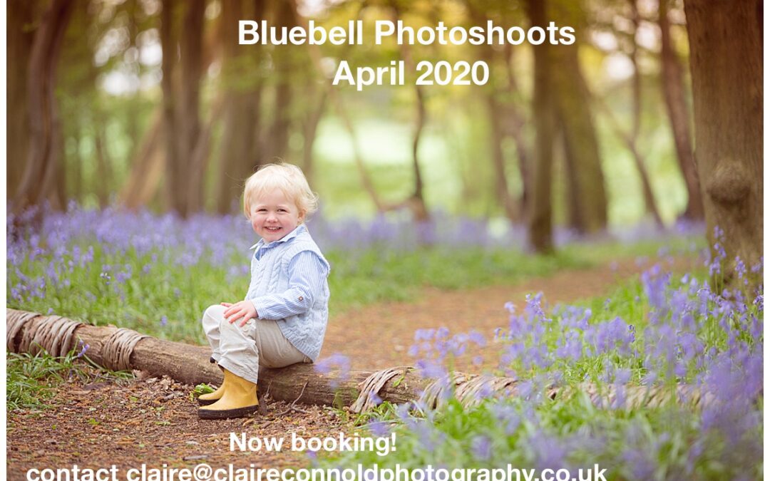 Now Booking Bluebell Photoshoots!